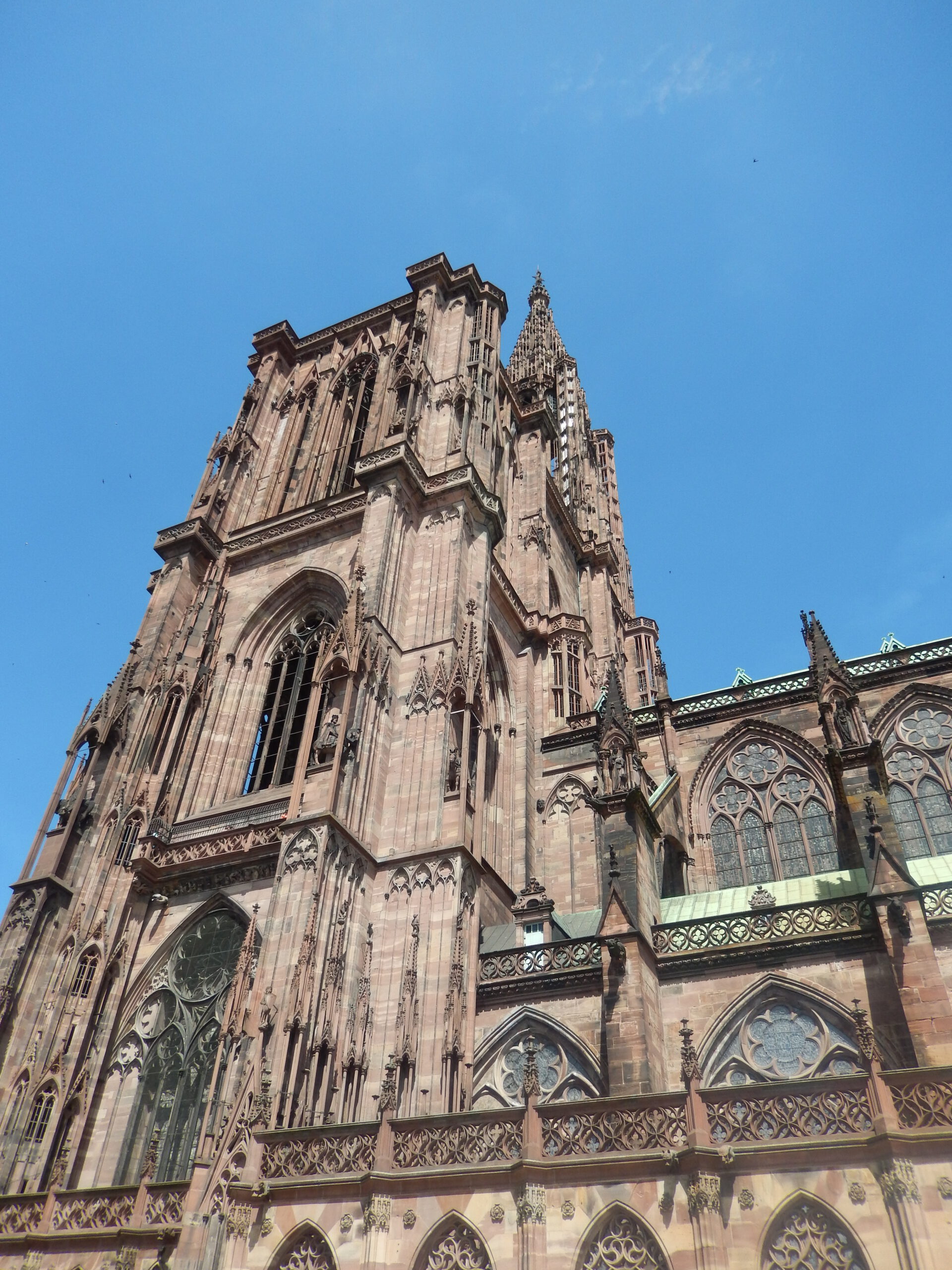 DSCN1075