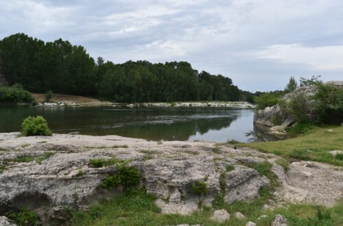 DSC_0329 DSC_0329