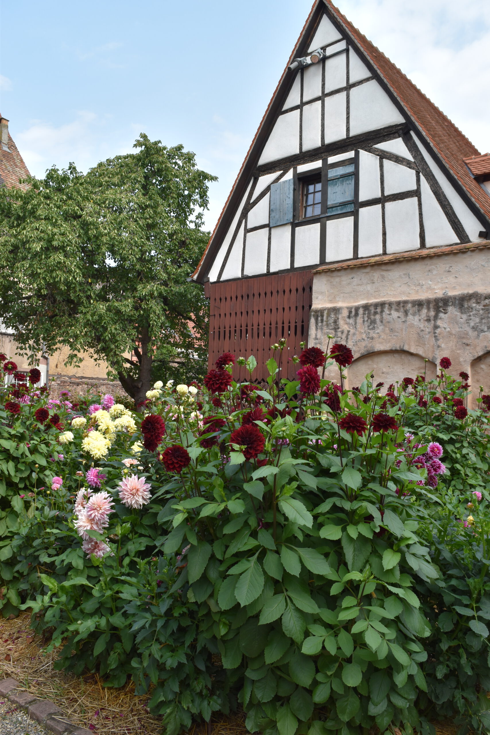 DSC_0027 DSC_0027