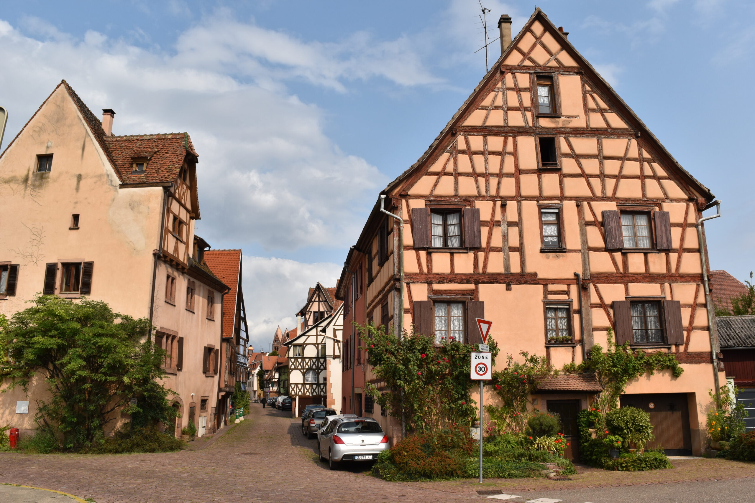 DSC_0030 DSC_0030