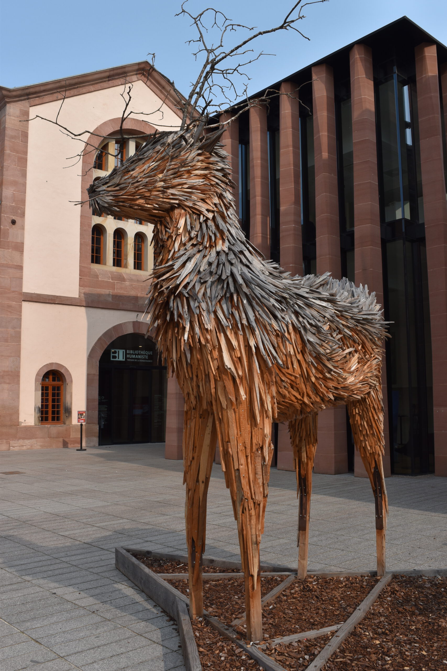 Der Hirsch von Camille Belot Der Hirsch von Camille Belot
